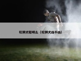 松狮犬聪明么（松狮犬凶不凶）