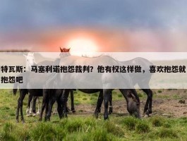 特瓦斯：马塞利诺抱怨裁判？他有权这样做，喜欢抱怨就抱怨吧