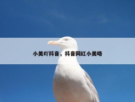 小美吖抖音，抖音网红小美咯