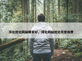 河北优化网站哪家好，河北网站优化托管收费