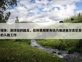 媒体：赢球后的国足，在休赛期更有动力推进塞尔吉尼奥的入籍工作