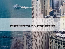 边牧纯不纯看什么地方 边牧判断纯不纯