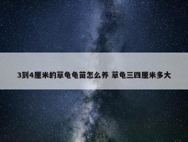 3到4厘米的草龟龟苗怎么养 草龟三四厘米多大