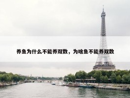 养鱼为什么不能养双数，为啥鱼不能养双数