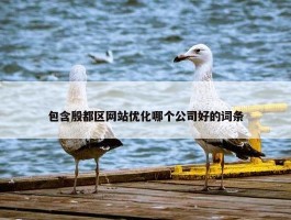 包含殷都区网站优化哪个公司好的词条