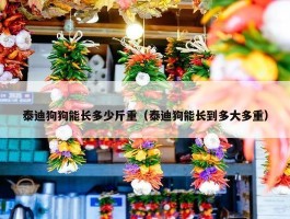 泰迪狗狗能长多少斤重（泰迪狗能长到多大多重）