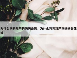 为什么狗狗难产狗妈妈会死，为什么狗狗难产狗妈妈会死掉