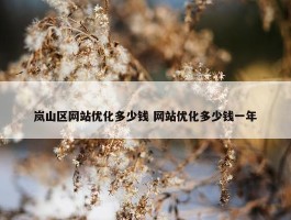 岚山区网站优化多少钱 网站优化多少钱一年