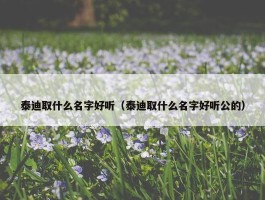 泰迪取什么名字好听（泰迪取什么名字好听公的）