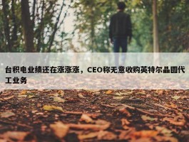 台积电业绩还在涨涨涨，CEO称无意收购英特尔晶圆代工业务