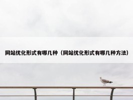 网站优化形式有哪几种（网站优化形式有哪几种方法）