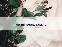 熟悉的科技七巨头又回来了？