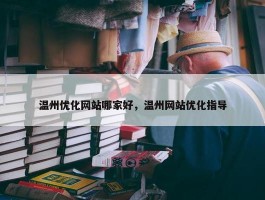 温州优化网站哪家好，温州网站优化指导