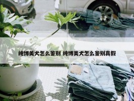 纯博美犬怎么鉴别 纯博美犬怎么鉴别真假