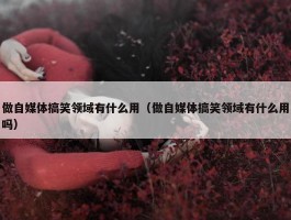 做自媒体搞笑领域有什么用（做自媒体搞笑领域有什么用吗）