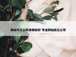 网站优化公司有哪些好 专业网站优化公司