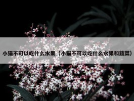 小猫不可以吃什么水果（小猫不可以吃什么水果和蔬菜）