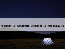 小狗吃自己的屎怎么回事（狗狗吃自己的便便怎么改正）