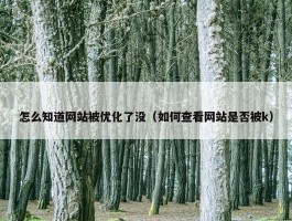 怎么知道网站被优化了没（如何查看网站是否被k）