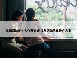 沈阳网站优化合作哪家好 沈阳网站优化推广方案