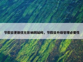 节假日更新优化影响网站吗，节假日升级管理必要性