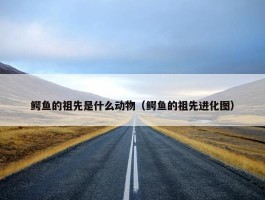 鳄鱼的祖先是什么动物（鳄鱼的祖先进化图）