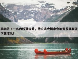 鹈鹕签下一名内线落选秀，他应该大概率会加盟发展联盟下属球队？