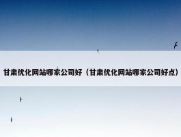 甘肃优化网站哪家公司好（甘肃优化网站哪家公司好点）