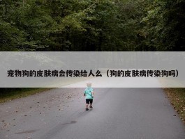 宠物狗的皮肤病会传染给人么（狗的皮肤病传染狗吗）