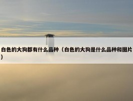 白色的大狗都有什么品种（白色的大狗是什么品种和图片）