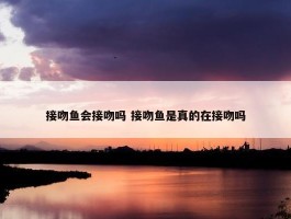 接吻鱼会接吻吗 接吻鱼是真的在接吻吗