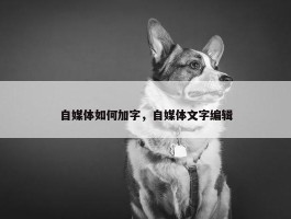 自媒体如何加字，自媒体文字编辑