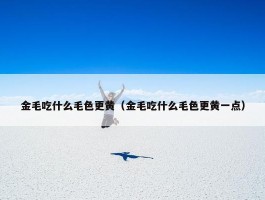 金毛吃什么毛色更黄（金毛吃什么毛色更黄一点）