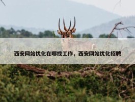 西安网站优化在哪找工作，西安网站优化招聘