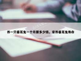 养一只垂耳兔一个月要多少钱，家养垂耳兔寿命