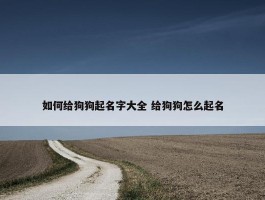 如何给狗狗起名字大全 给狗狗怎么起名