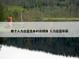 那个人力总监出身的自媒体 人力总监年薪