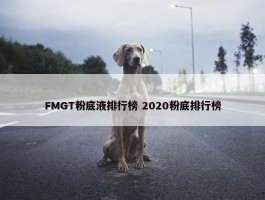 FMGT粉底液排行榜 2020粉底排行榜