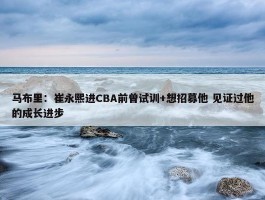 马布里：崔永熙进CBA前曾试训+想招募他 见证过他的成长进步