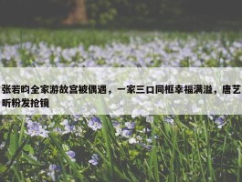 张若昀全家游故宫被偶遇，一家三口同框幸福满溢，唐艺昕粉发抢镜