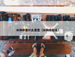 水狗命是什么意思（水狗命起名）