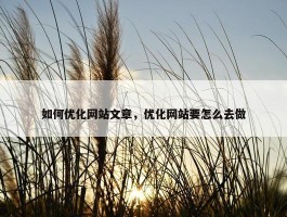 如何优化网站文章，优化网站要怎么去做