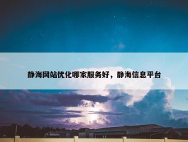 静海网站优化哪家服务好，静海信息平台