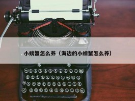 小螃蟹怎么养（海边的小螃蟹怎么养）