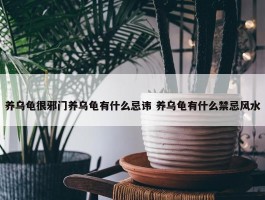 养乌龟很邪门养乌龟有什么忌讳 养乌龟有什么禁忌风水