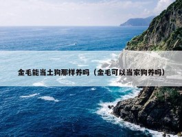 金毛能当土狗那样养吗（金毛可以当家狗养吗）