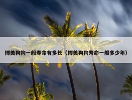 博美狗狗一般寿命有多长（博美狗狗寿命一般多少年）