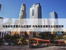 乌龟放在家里什么位置好 乌龟放在家里什么位置好养