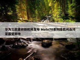 华为三款重磅新机将发布 Mate70系列搭载纯血鸿蒙最受期待