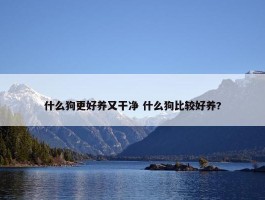 什么狗更好养又干净 什么狗比较好养?